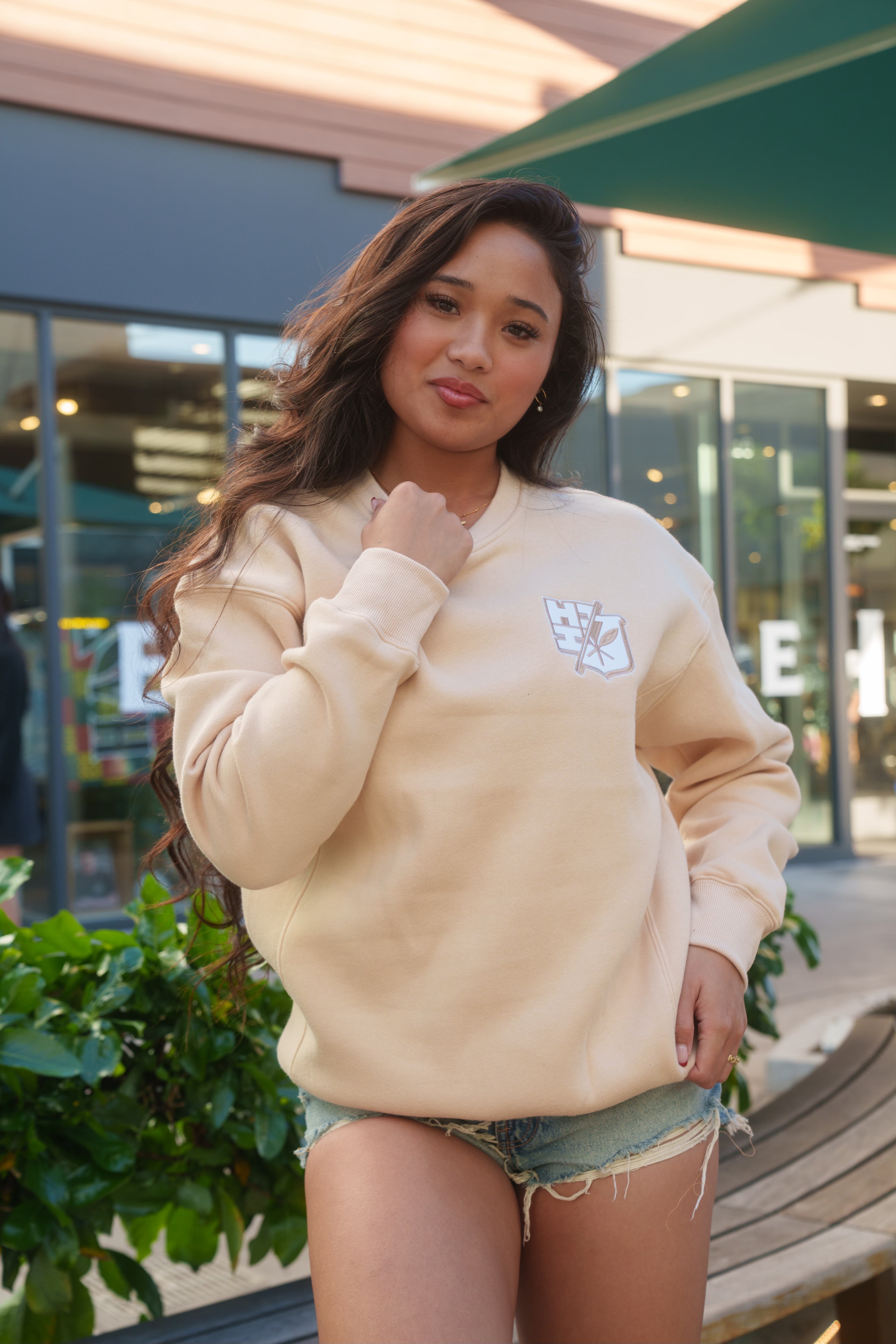 BEIGE SPLIT LOGO CREW NECK SWEATER Jacket Hawaii's Finest X-SMALL