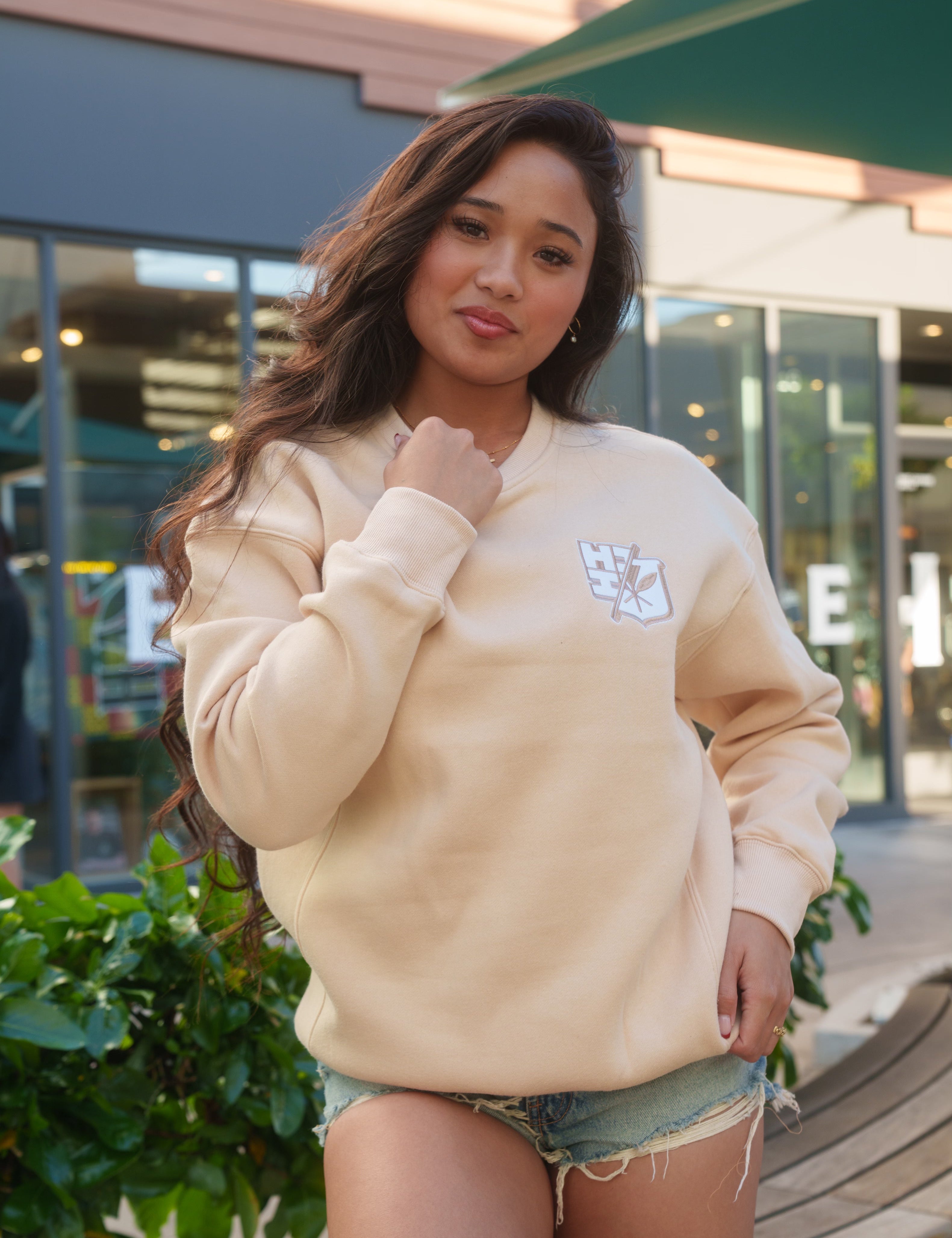 BEIGE SPLIT LOGO CREW NECK SWEATER Jacket Hawaii's Finest X-SMALL 