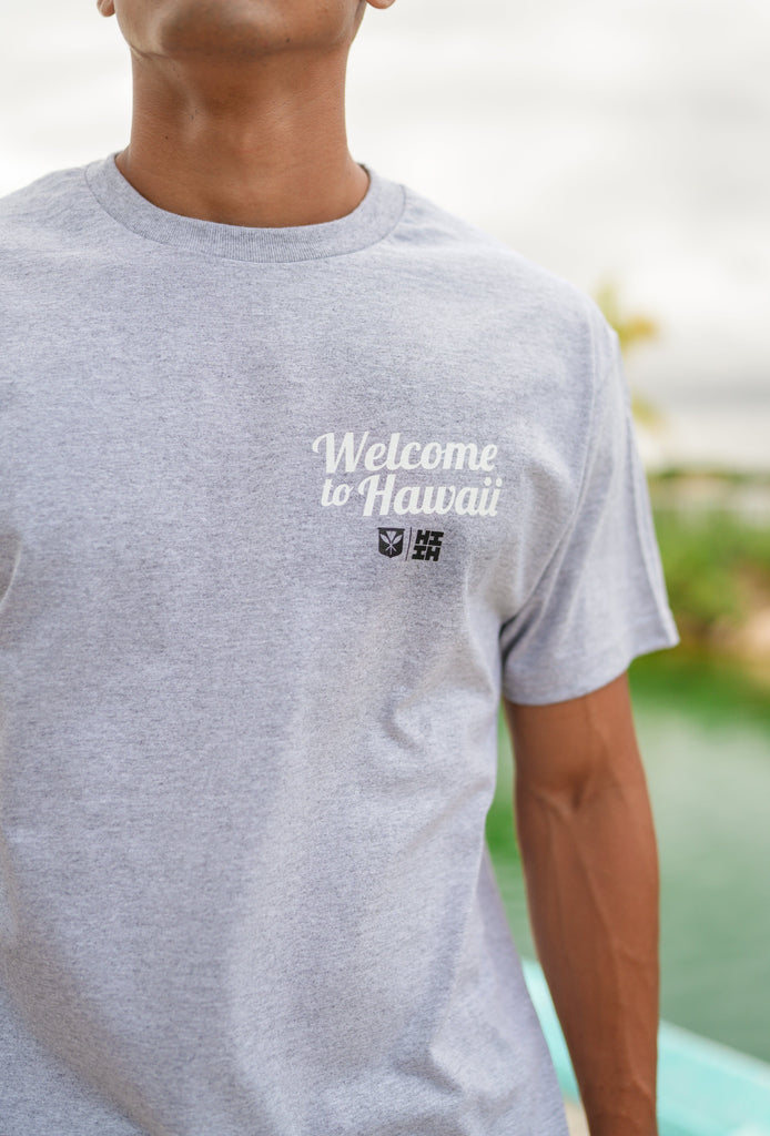 BOARDING PASS HEATHER GRAY T-SHIRT Shirts Hawaii's Finest 